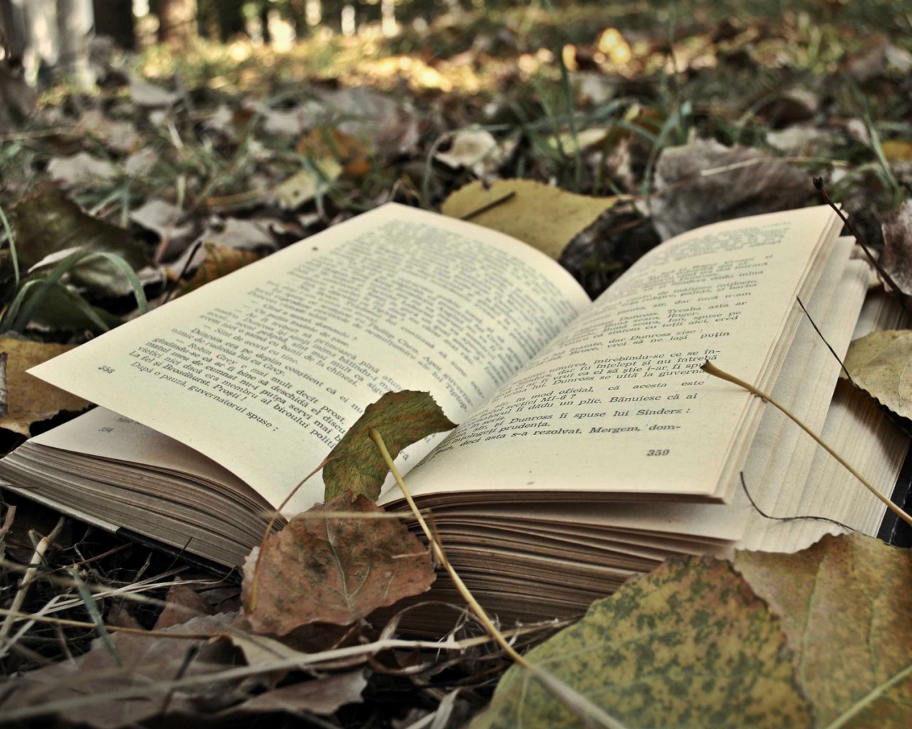 成人高考考試之前要做好哪些準備？