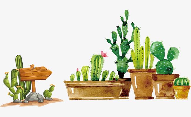 2019年福建成考會大改革嗎？