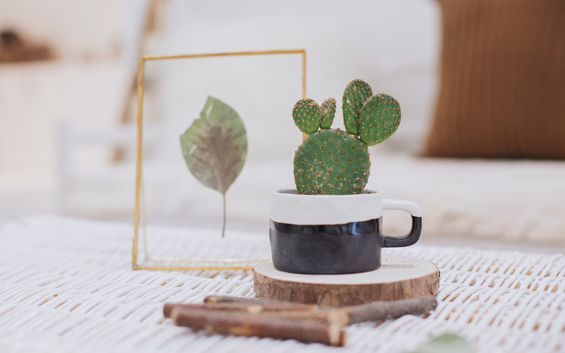 成考缺考怎么辦，還能被錄取嗎？