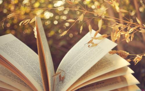 福建 成人高考本科有用嗎