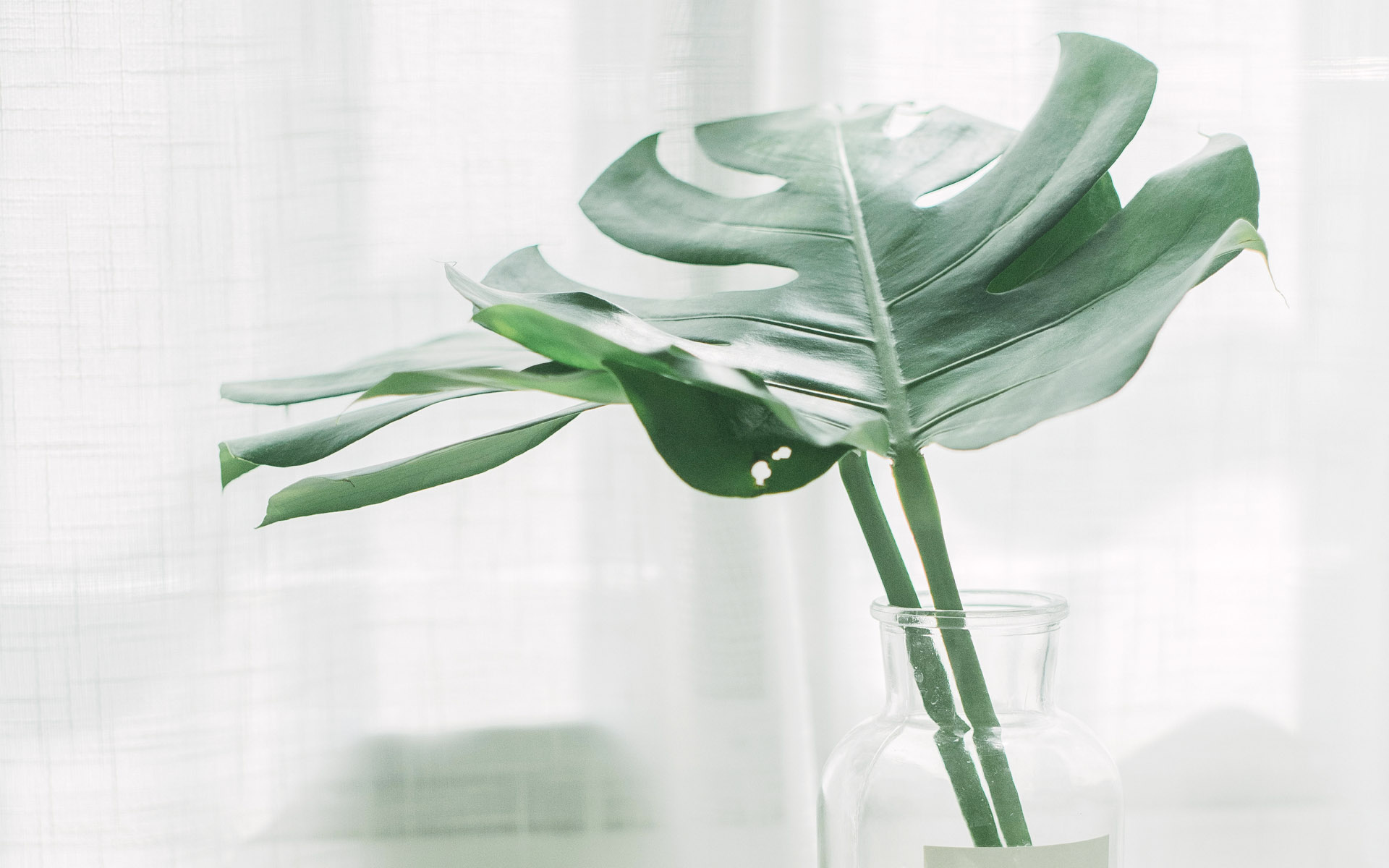 福建成人高考錄取查詢