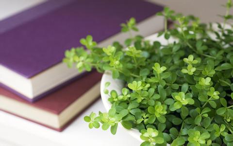 福建成人高考計算機信息管理專業