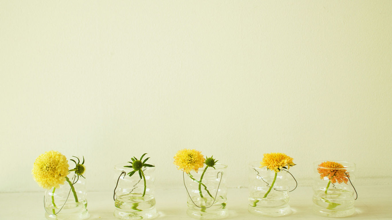 福建成人高考英語考試